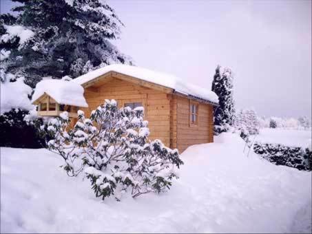 Apartment Jungst Winterberg Exterior photo