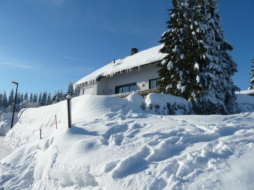 Apartment Jungst Winterberg Exterior photo